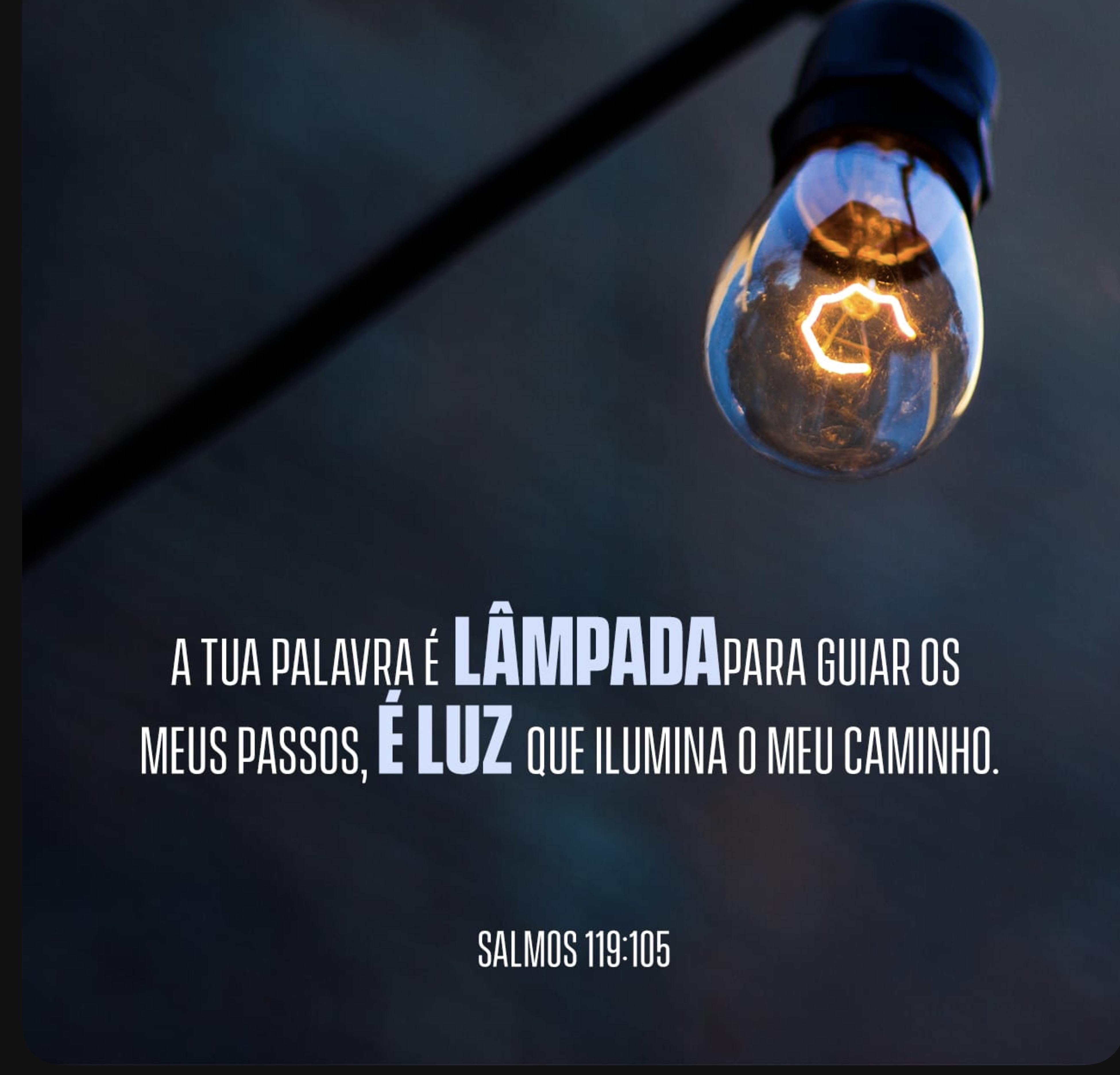 A Palavra que ilumina o caminho
